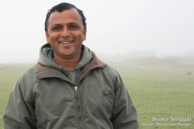 Shankar Simkhada | Garden Maintenance Manager