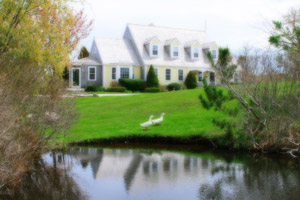 "Just Ducky" Nantucket Landscaping I